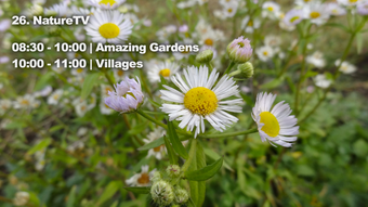 Image 1 for simpleVID IPTV PLAYER