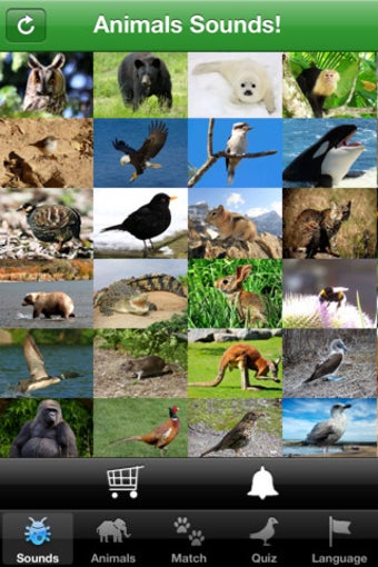 Imagen 0 para AudioZoo: Animal Sounds