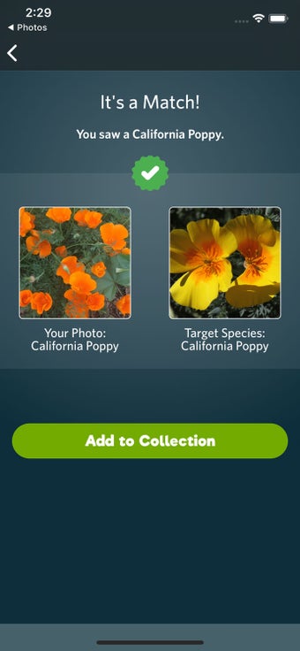 Imagen 0 para Seek