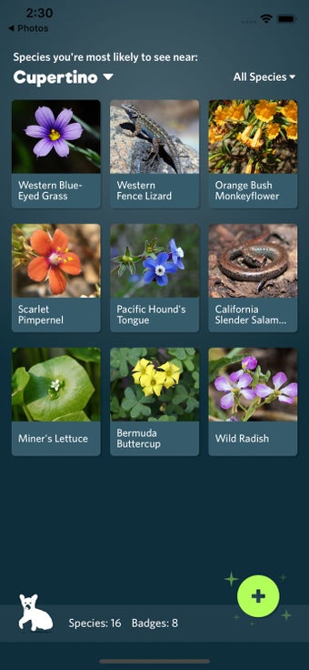 Imagen 1 para Seek