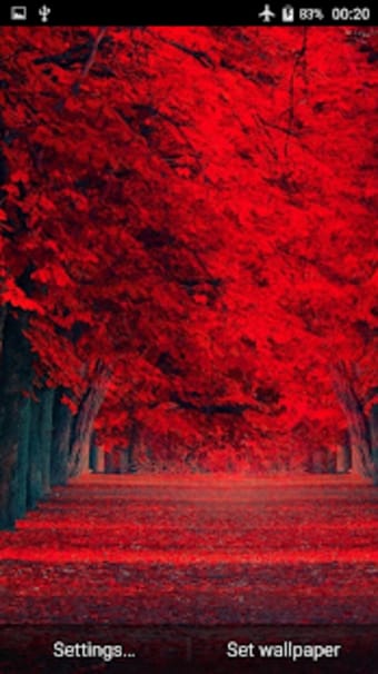 Image 1 for Red HD Live Wallpaper
