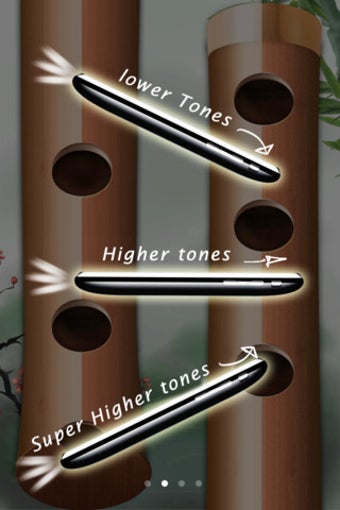 Image 2 for Bamboo Flute Pro