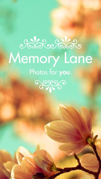 Imagen 3 para Spider Live Wallpaper