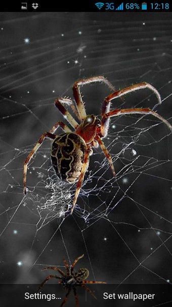 Imagen 0 para Spider Live Wallpaper