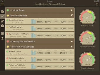 Image 0 for Key Financial Ratios