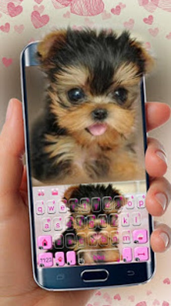 Image 1 for Cute Tongue Cup Puppy Key…