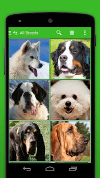 Image 2 for iKnow Dogs 2 PRO