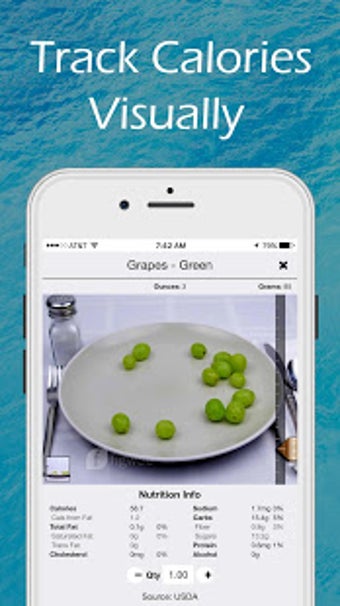 Imagen 3 para Figwee Visual Food Diary