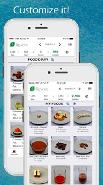 Imagen 2 para Figwee Visual Food Diary