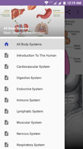 Image 1 for All Body Systems