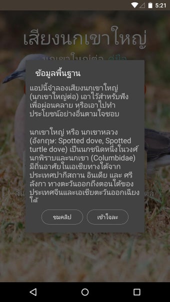 Image 0 for Spotted dove sound