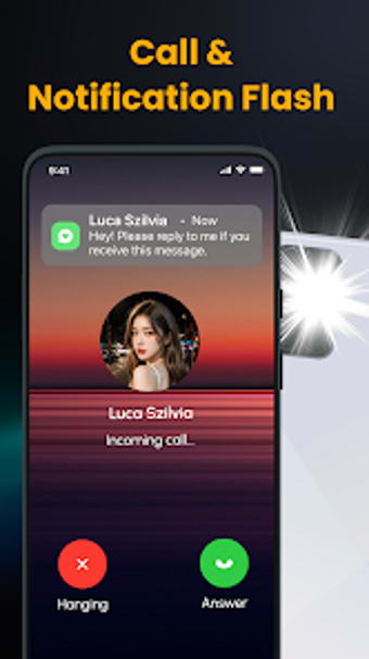 Image 0 for Instant Alert With Flashl…