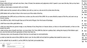 Image 2 for Offline Bible for Windows…