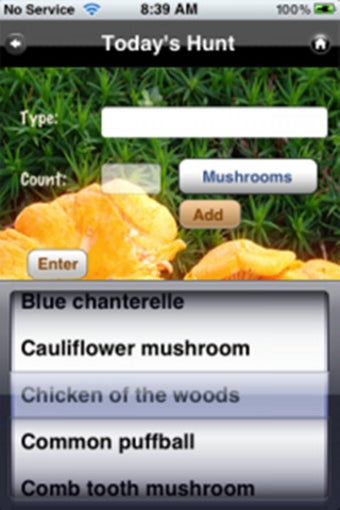 Imagen 0 para My Mushroom Log
