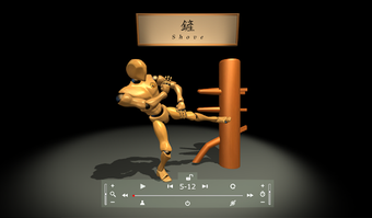 Image 0 for VR Wing Chun Trainer