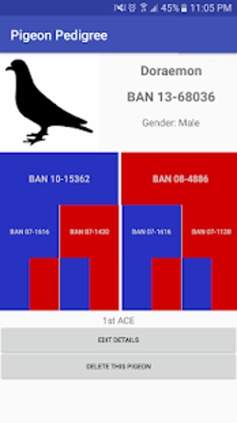 Image 2 for Pigeon Pedigree