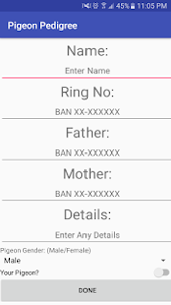 Image 1 for Pigeon Pedigree