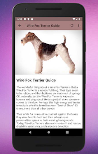 Image 2 for Dog Breeds A-Z