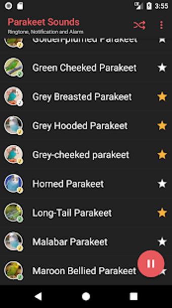 Image 1 for Appp.io - Parakeet Sounds