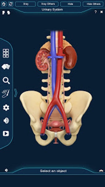 Imagen 1 para Urinary System Pro.