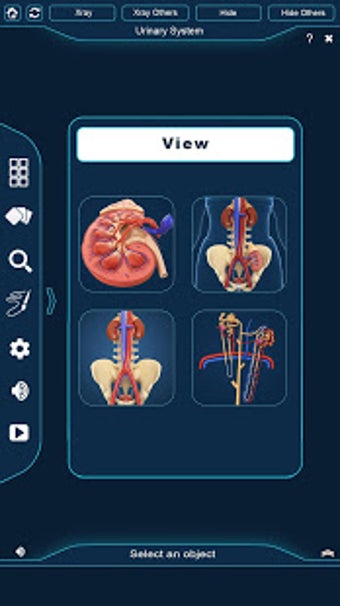 Imagen 0 para Urinary System Pro.