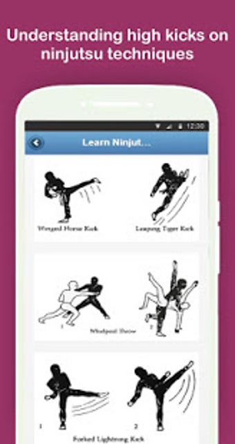 Image 1 for Learn Ninjutsu Techniques