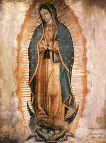 Image 0 for La Rosa de Guadalupe