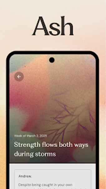 Image 0 for Ash - AI for Mental Healt…