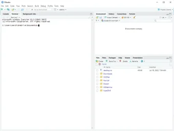 Image 0 for RStudio IDE