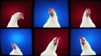 Imagen 1 para Techno Chicken Song