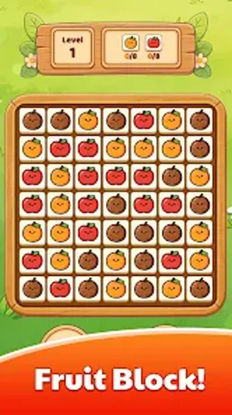 Imagen 0 para Fruit Block-More Gifts