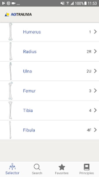 Imagen 1 para AO/OTA Fracture Classific…
