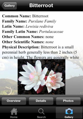 Image 0 for Wildflowers of Craters of…