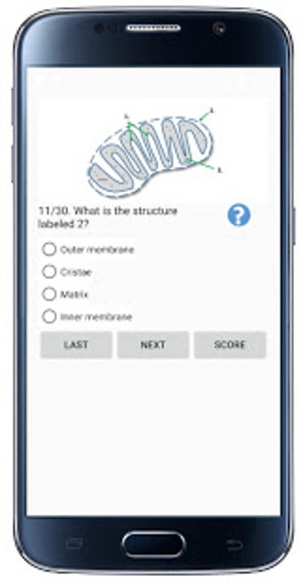 Image 1 for Cell Biology-101
