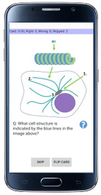 Image 3 for Cell Biology-101