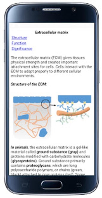 Image 2 for Cell Biology-101