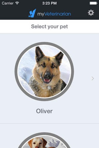 Image 0 for My Veterinarian