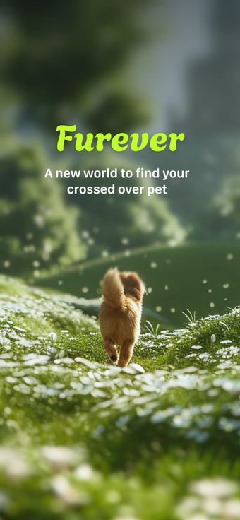 Image 0 for Furever - Pet in Heaven