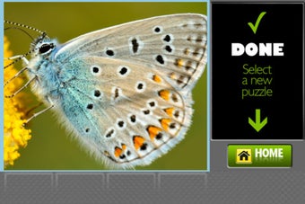 Image 0 for Puzzle Palace Free