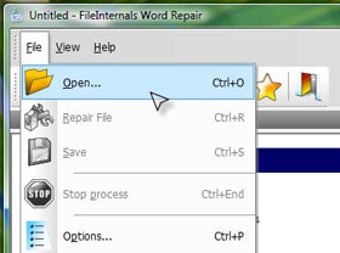 Image 1 for FileInternals Word Repair