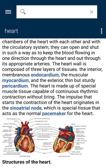 Imagen 2 para Dorland's Medical Diction…