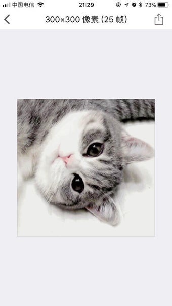 Image 1 for Shu - Magic File Viewer