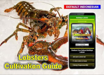 Image 2 for Success in lobster cultiv…