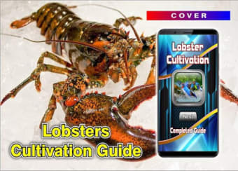Image 1 for Success in lobster cultiv…