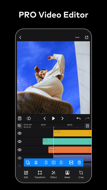 Image 0 for Ivy Professional Video Ed…