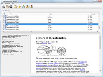Image 0 for FileInternals Word Recove…