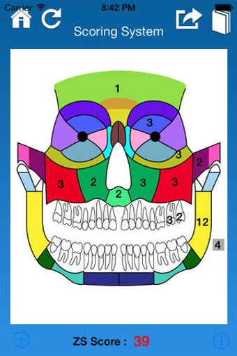 Imagen 0 para ZS Maxillofacial Trauma S…
