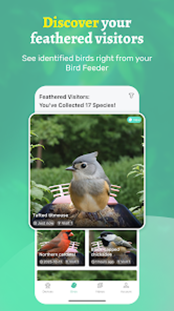 Imagen 0 para Vico Nature: Smart Nature…