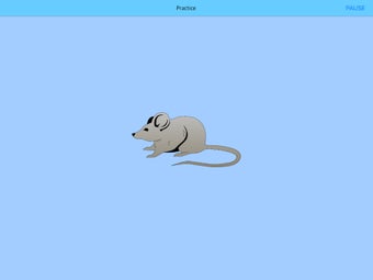 Image 0 for Go/No Go