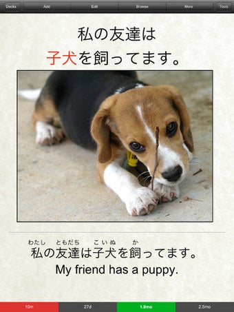 Imagen 3 para AnkiMobile Flashcards